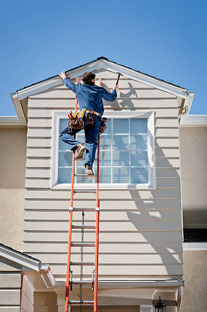 Best Siding Painting and Refinishing  in Biscoe, NC